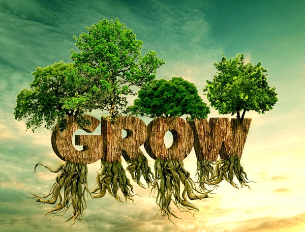 Tree-of-Life-GROW-600x456