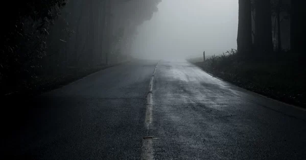 Dark misty road lined with trees