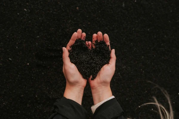 Fertile soil in hands